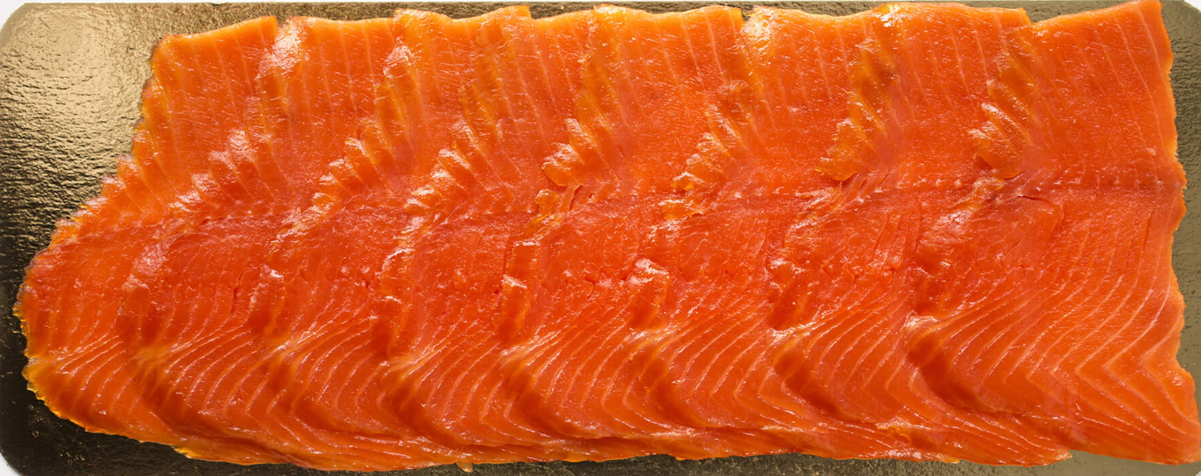 Salmon