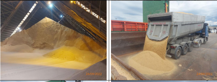 Soybean Meal