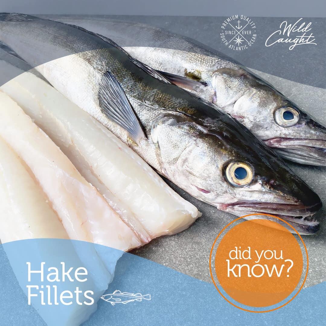 Frozen Hake Fillet