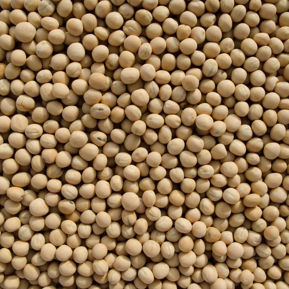 Yellow Peas