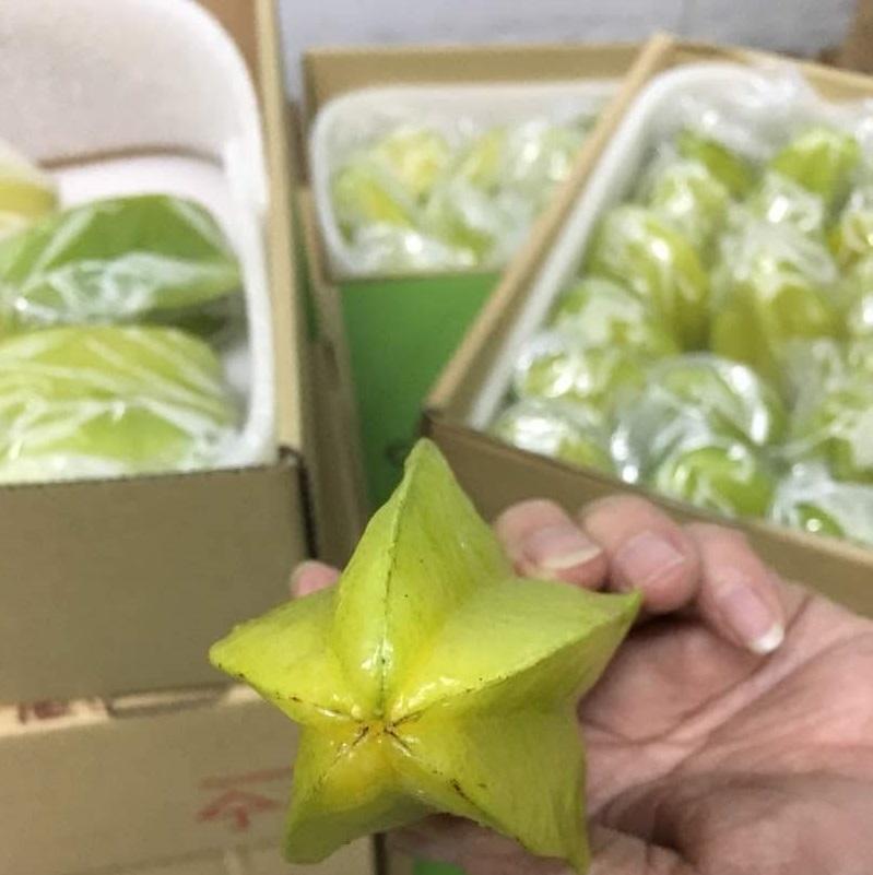 Starfruit (B10)