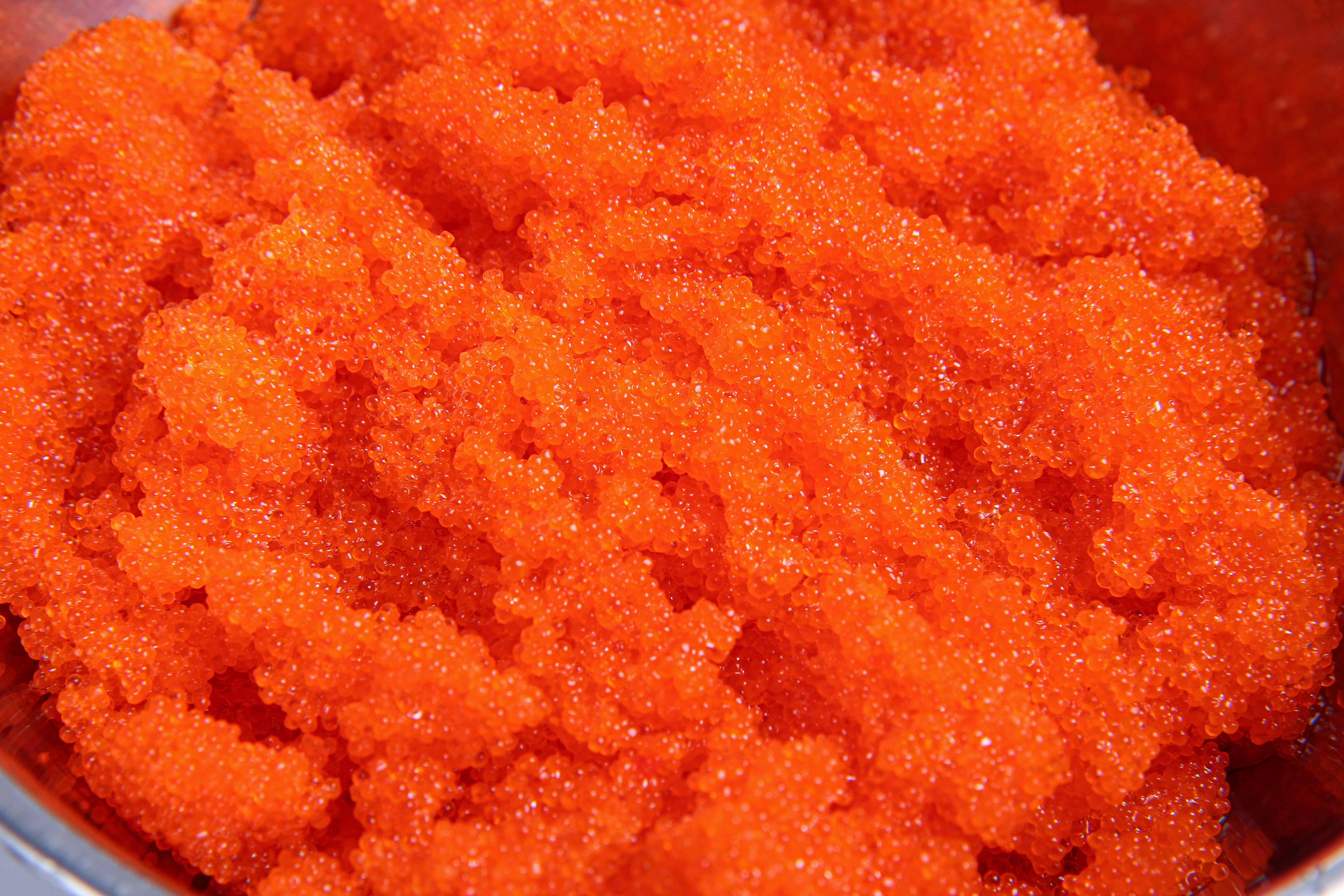 TOBIKO & MASAGO