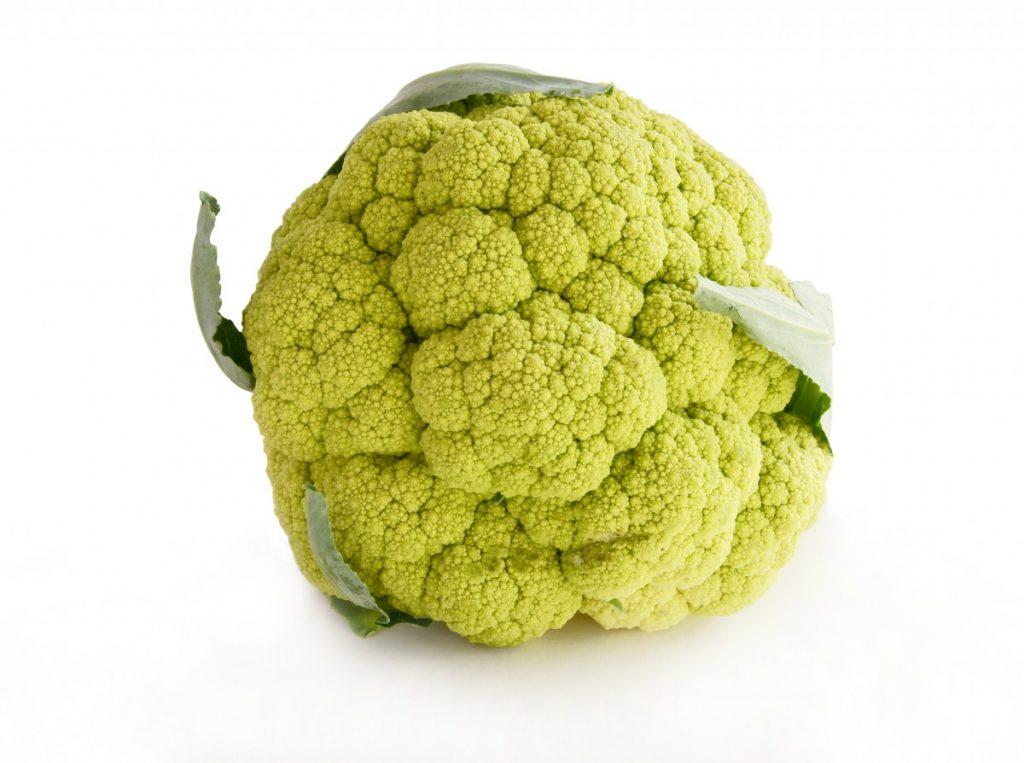 Leek