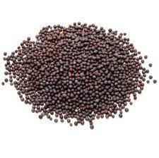 Mustard Seeds