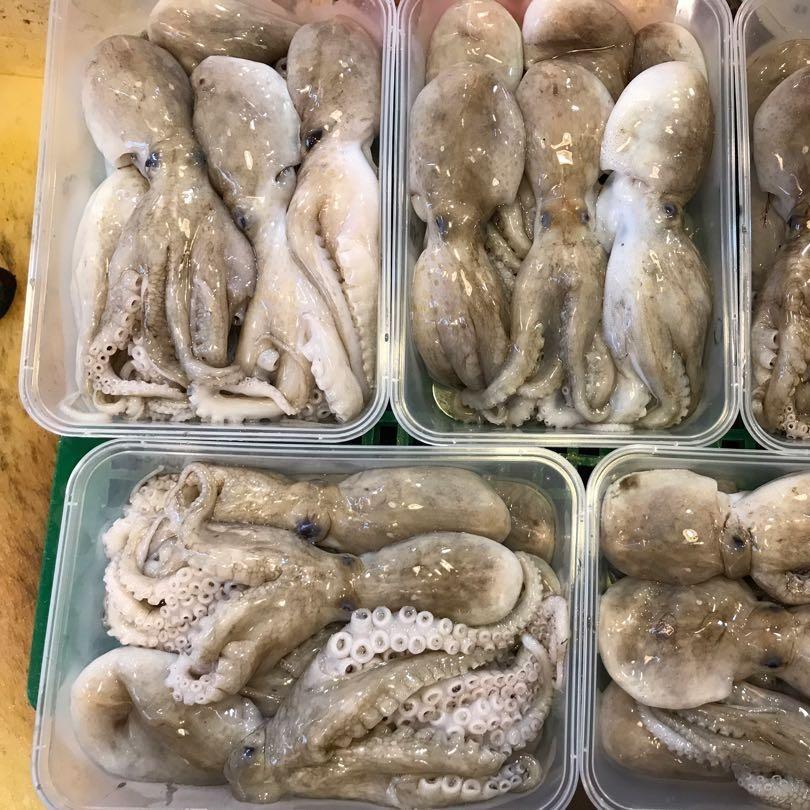 High Quality Frozen Octopus