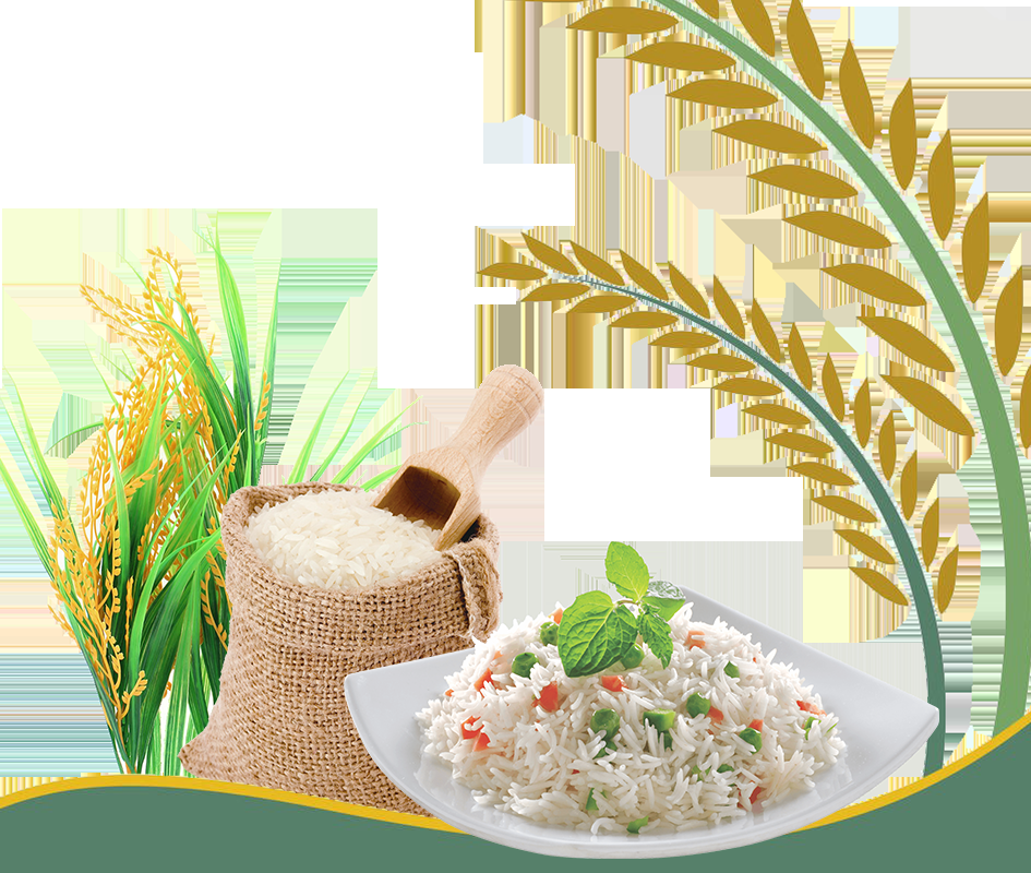 Rice