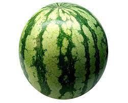 watermelon