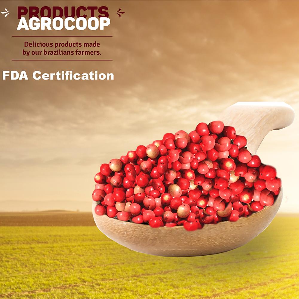 Spices and Conditions