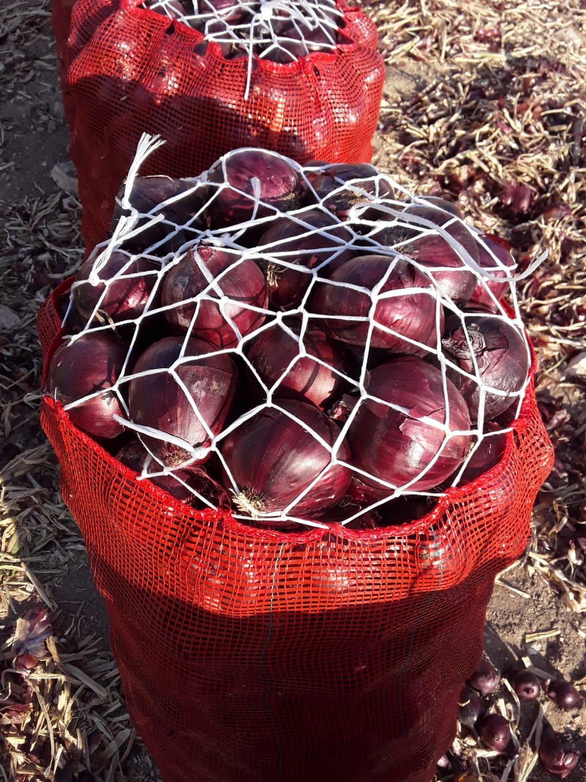 Red Onion