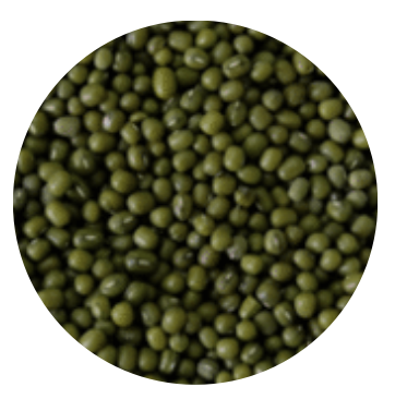 Vietnam Organic Mung Bean