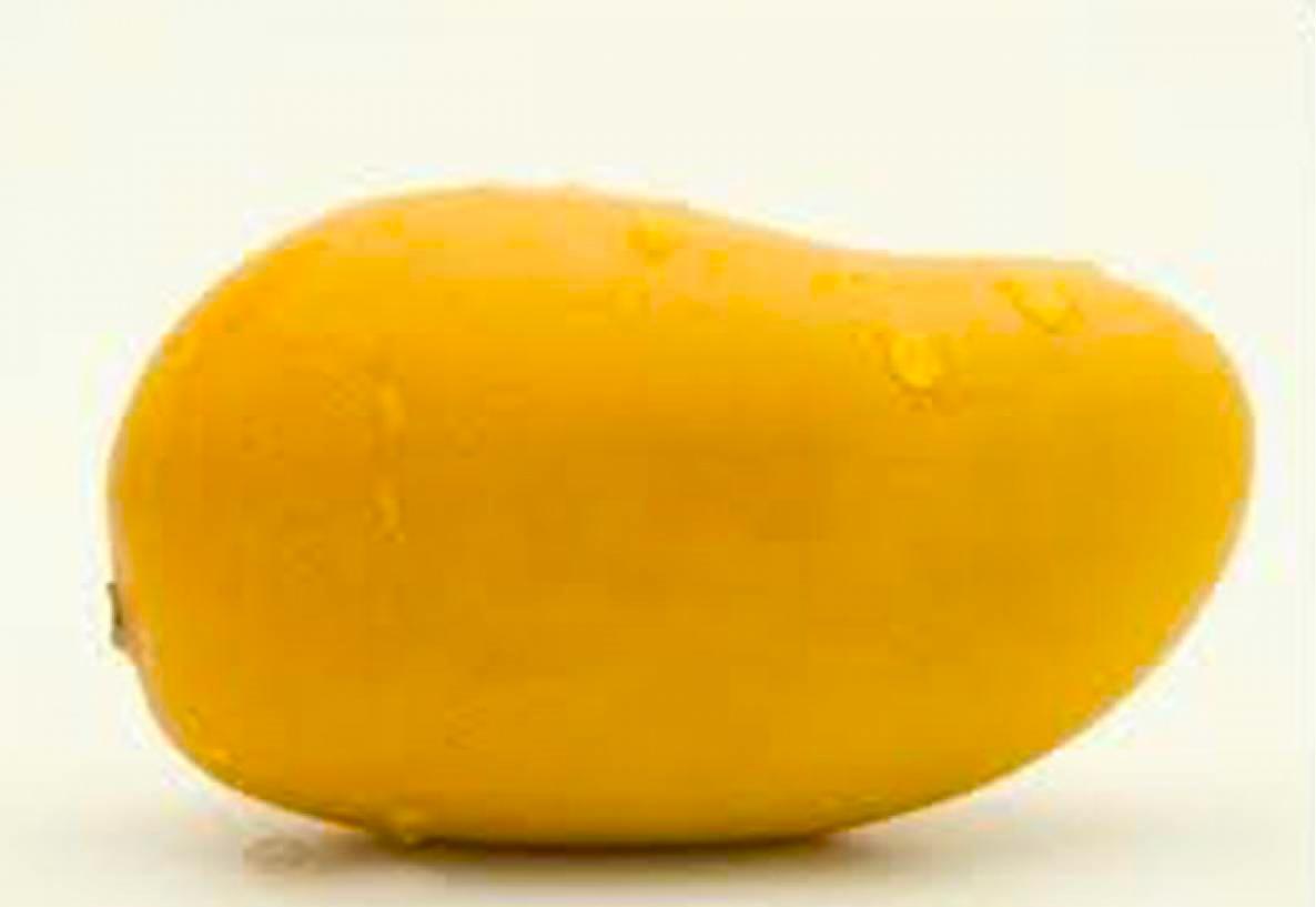 Fresh Mango