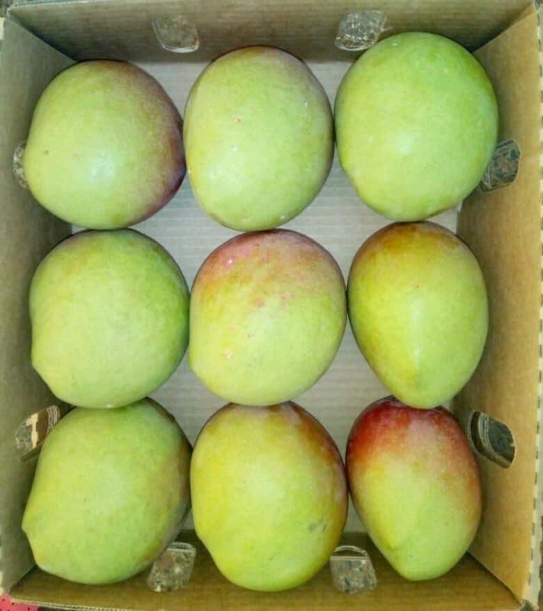 Apple Mango