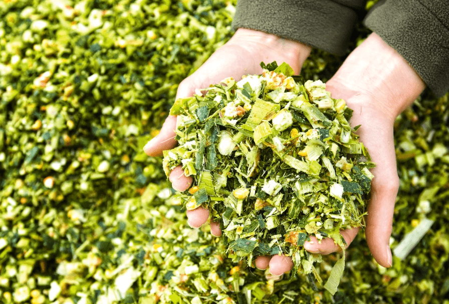 CORN SILAGE - Roll