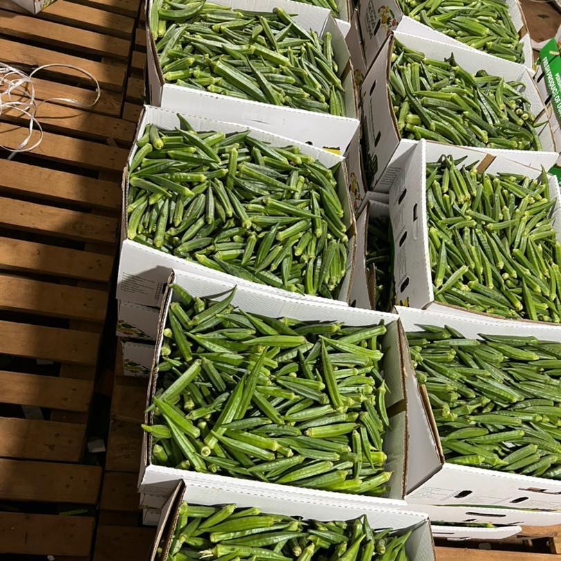 Pusa Sawani Okra