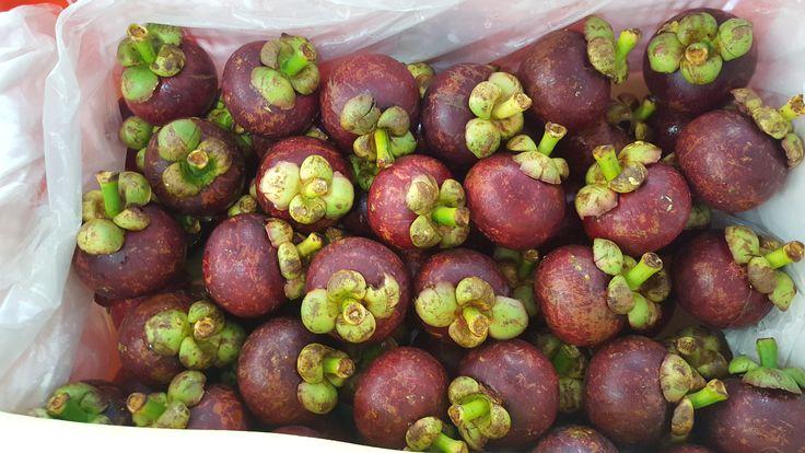 Mangosteen