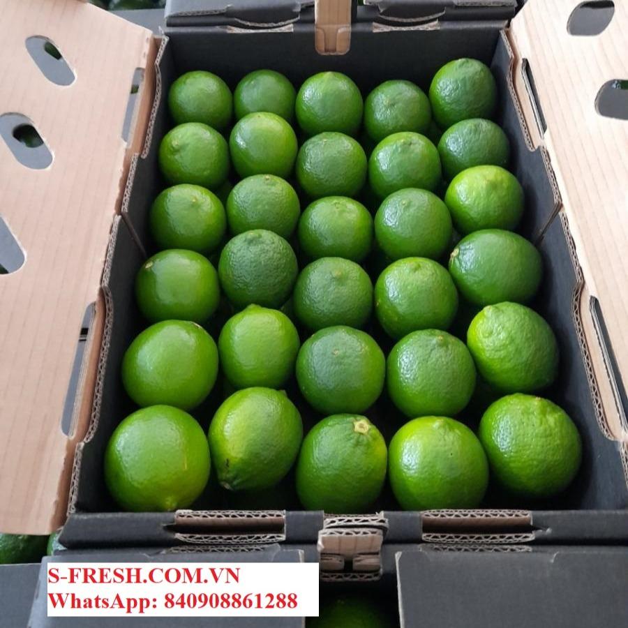 Fresh Lime Vietnam (S-fresh 84-0908861288)