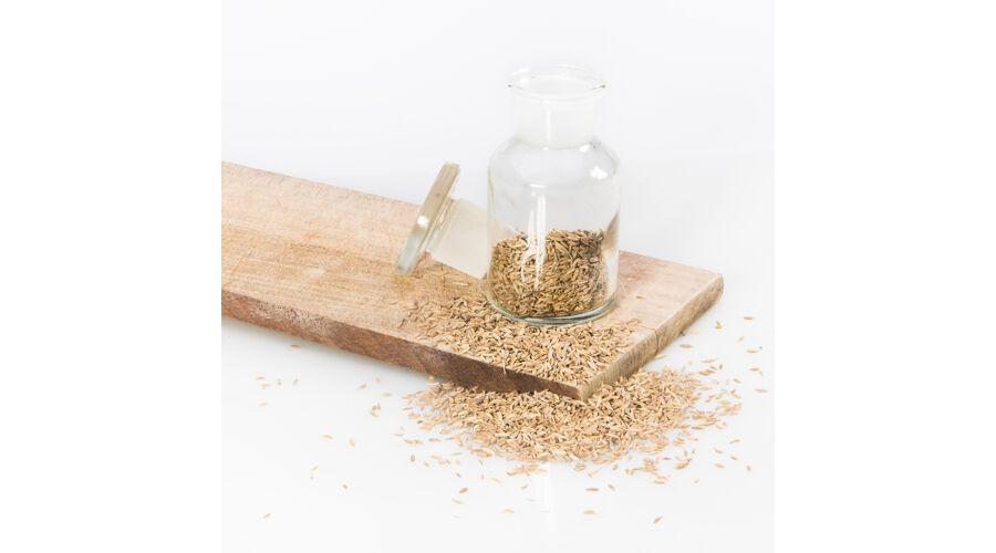 Cumin Seeds