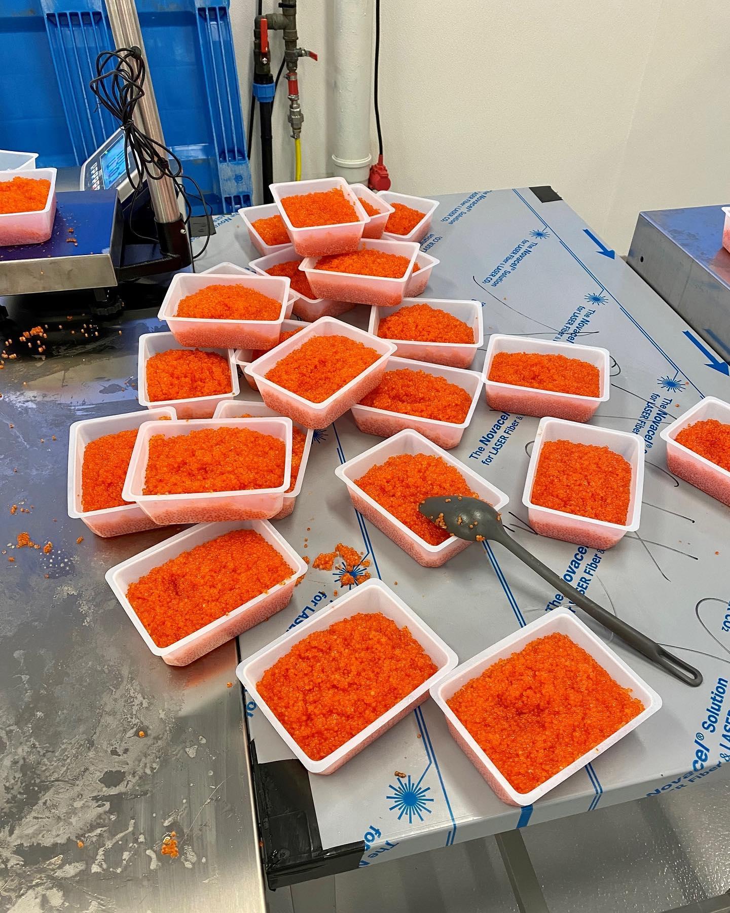 Fresh Trout Roe