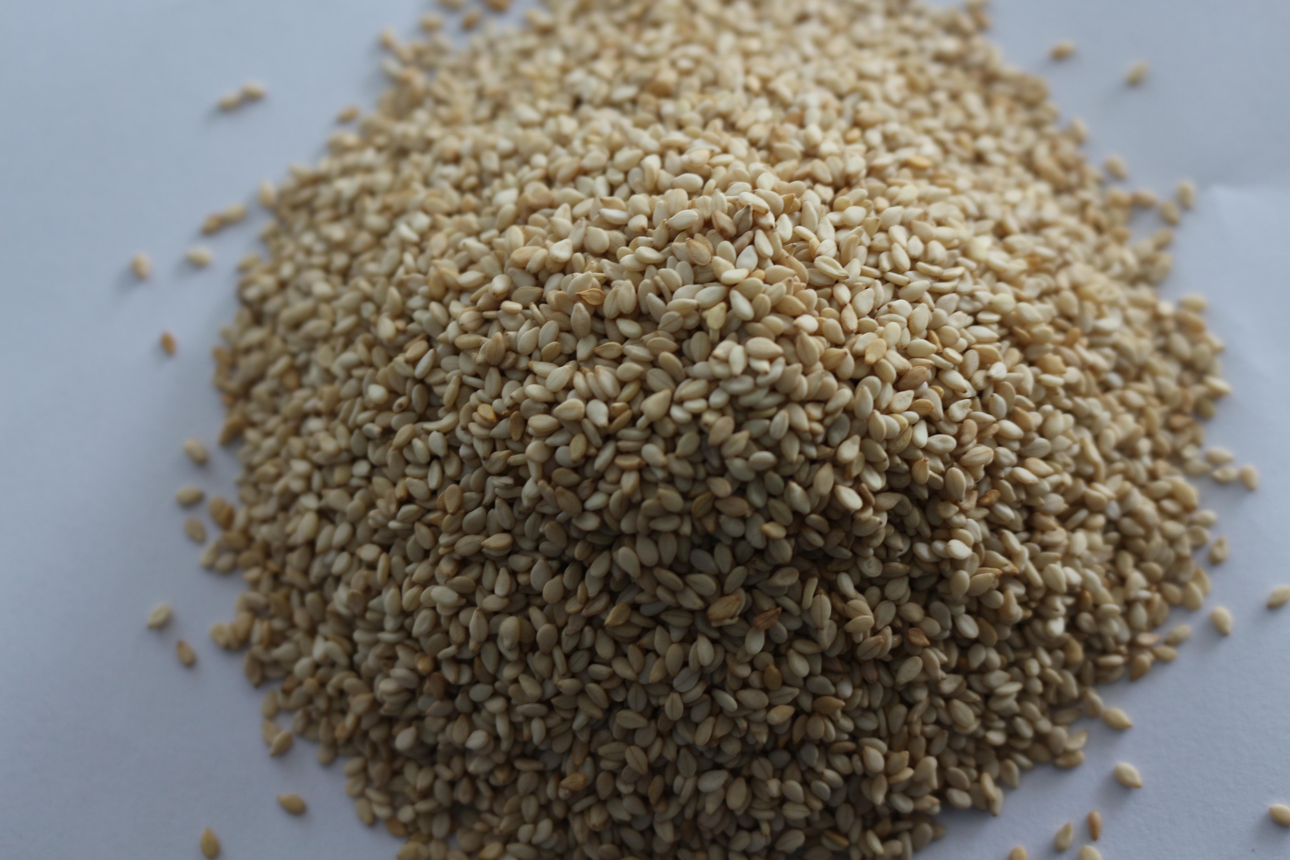 Sesame Seeds