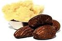 Shea Nuts & Butter