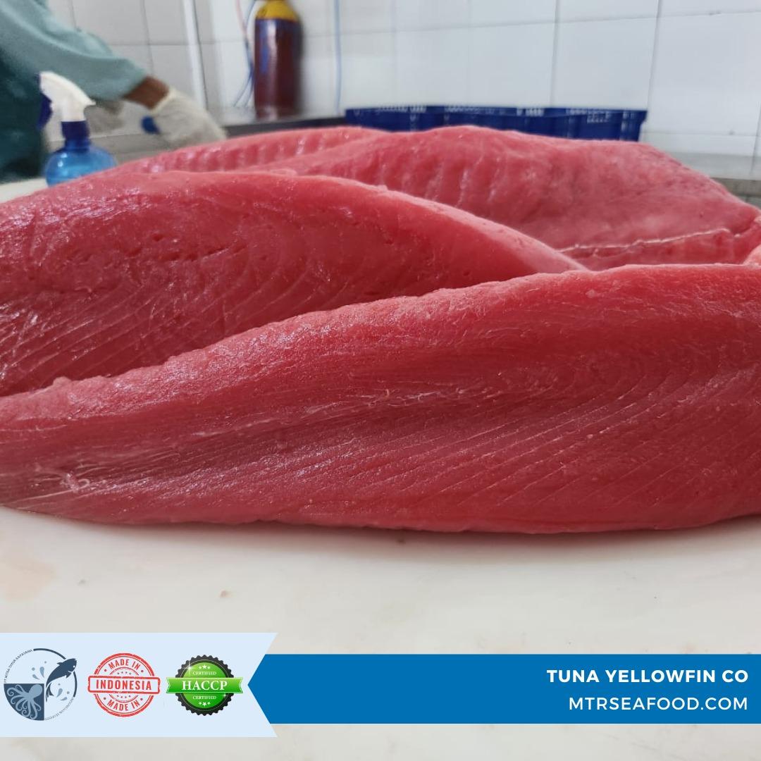 FROZEN TUNA LOIN CO