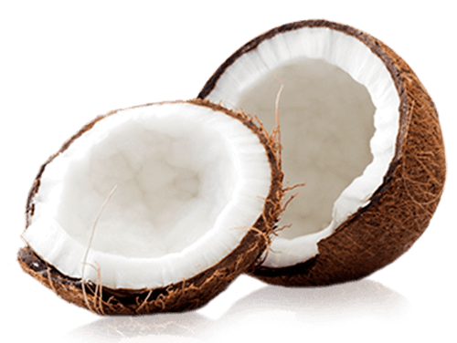 Coconut