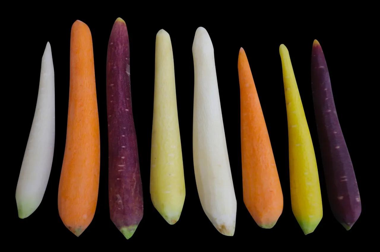 Mini Carrots