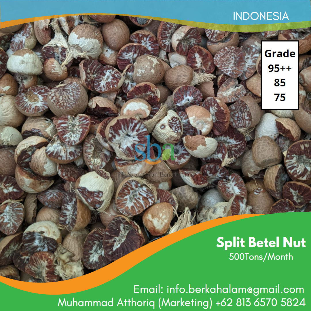 Areca nut