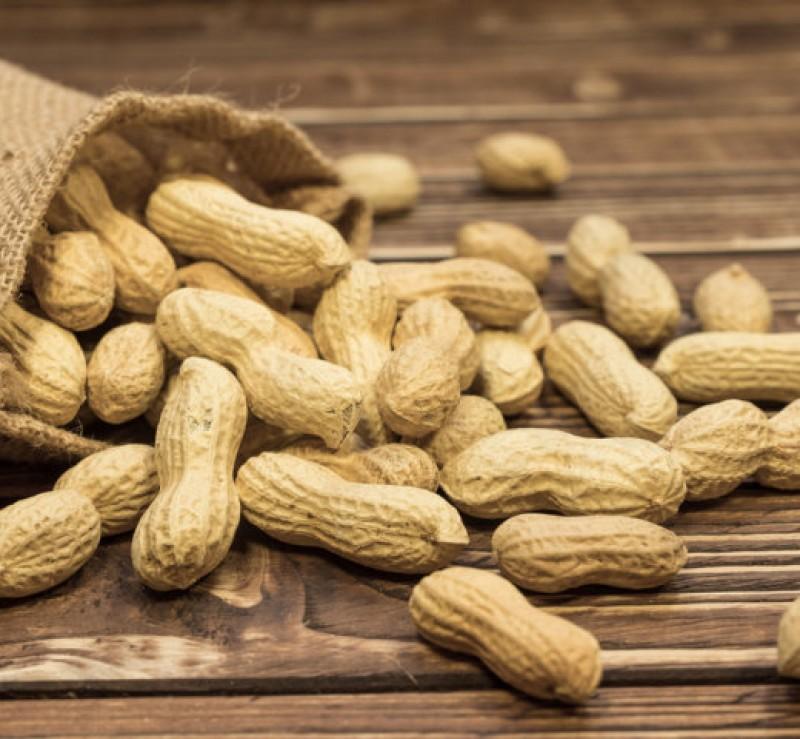 groundnut