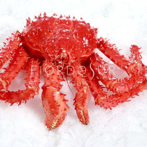 King Crab