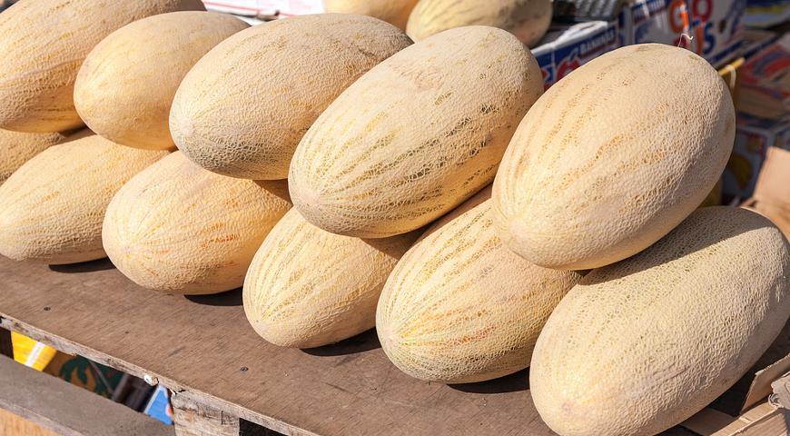 Melon