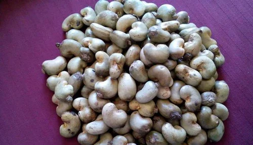 Raw Cashew Nut