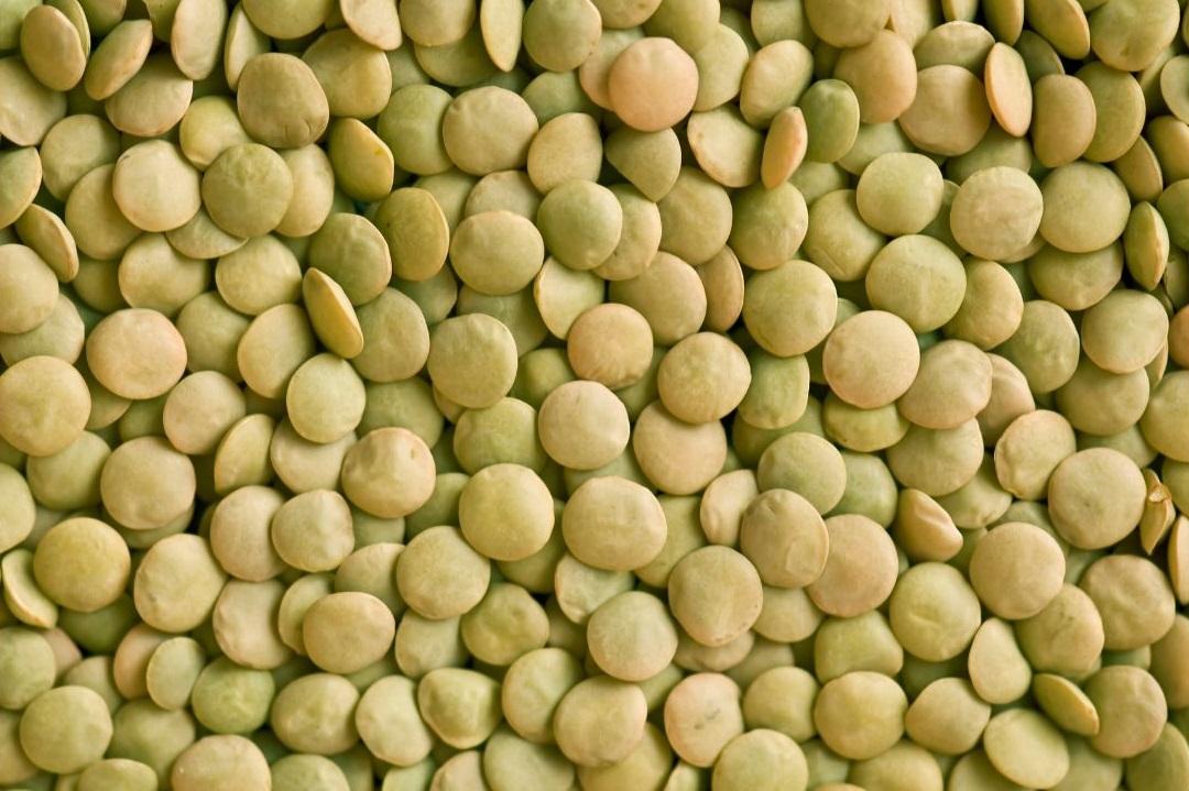 Green Lentils