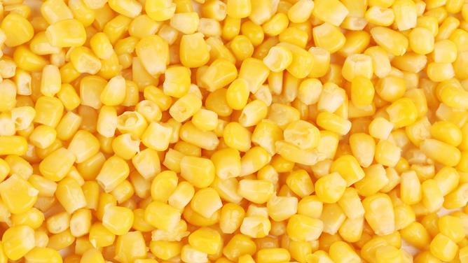 Sweet Corn Kernel