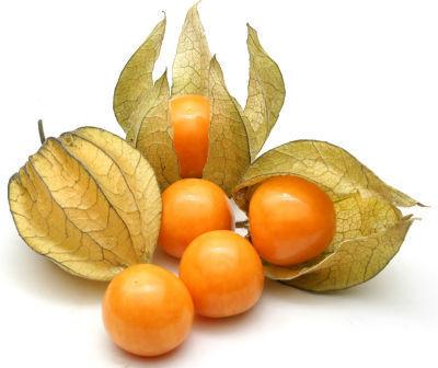 Physalis/Cape gooseberry