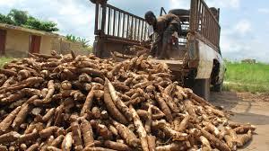 Fresh Ginger & Sun Dried Split Ginger