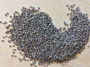 Chia Seed