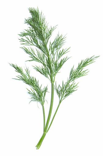 dill