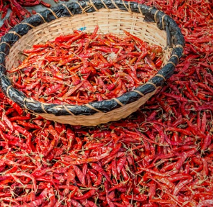 Red Chili