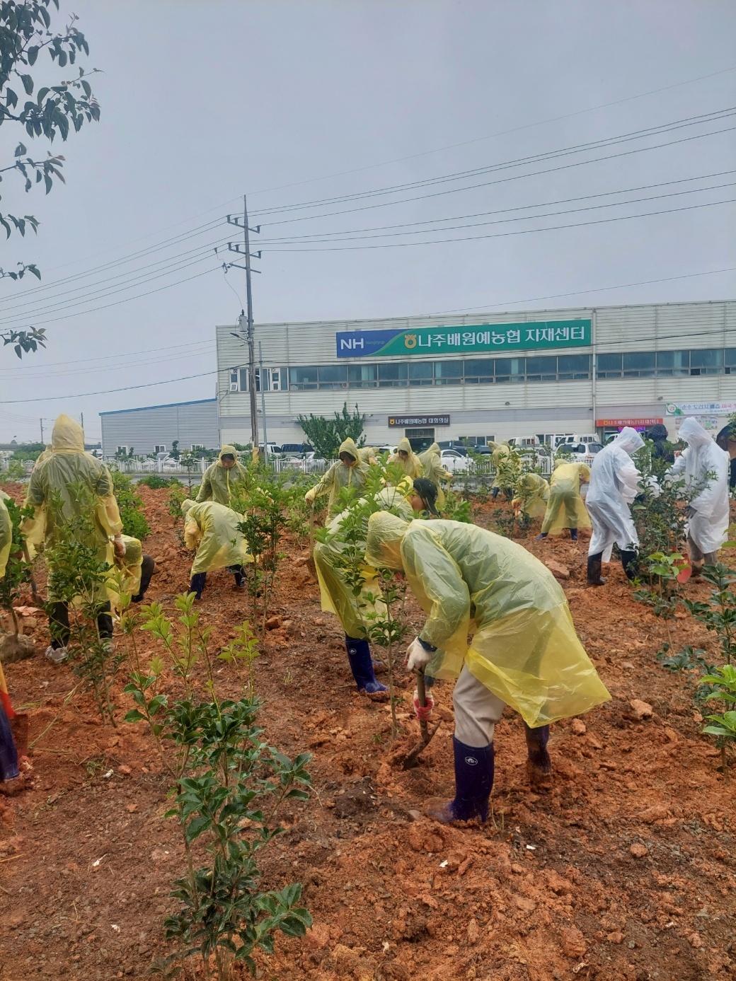 Naju Pear Agricultural Cooperative Association