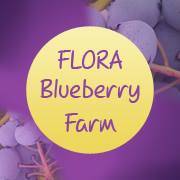 Flora Blueberry Farm