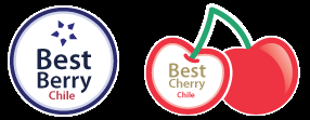 Exportadora Best Berry Chile SA