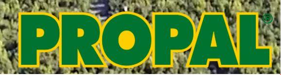 Exportadora Propal S.A.