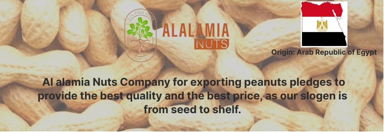 AL ALAMIA NUTS