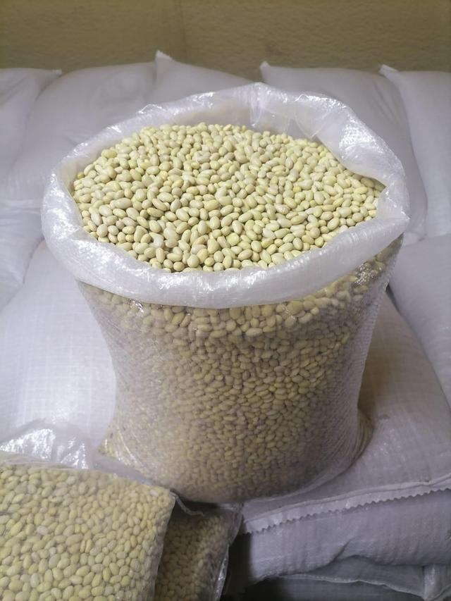 White Bean - Mayocoba/Peruvian/Reina/Azufrado Bean