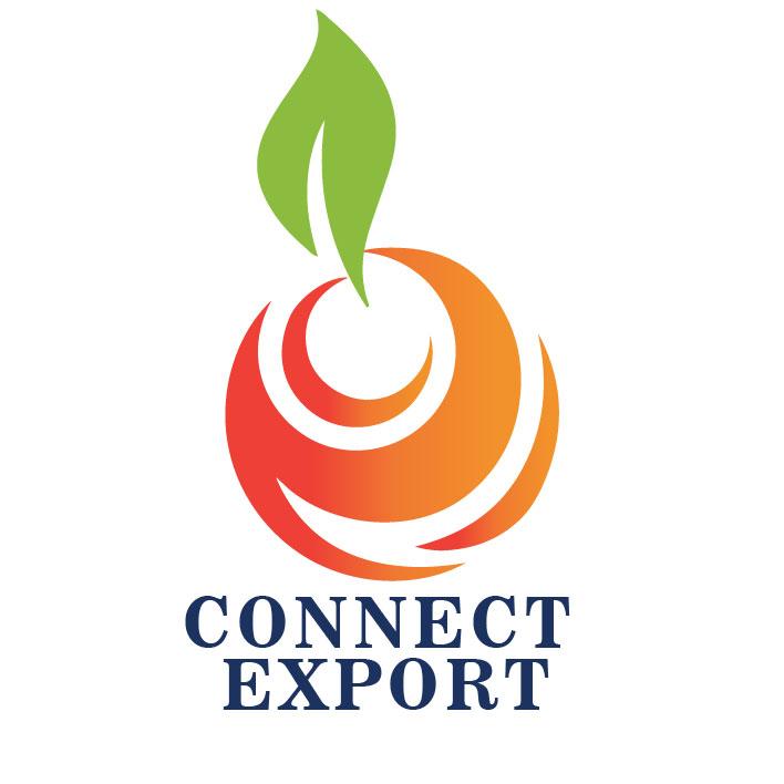 Connect Export