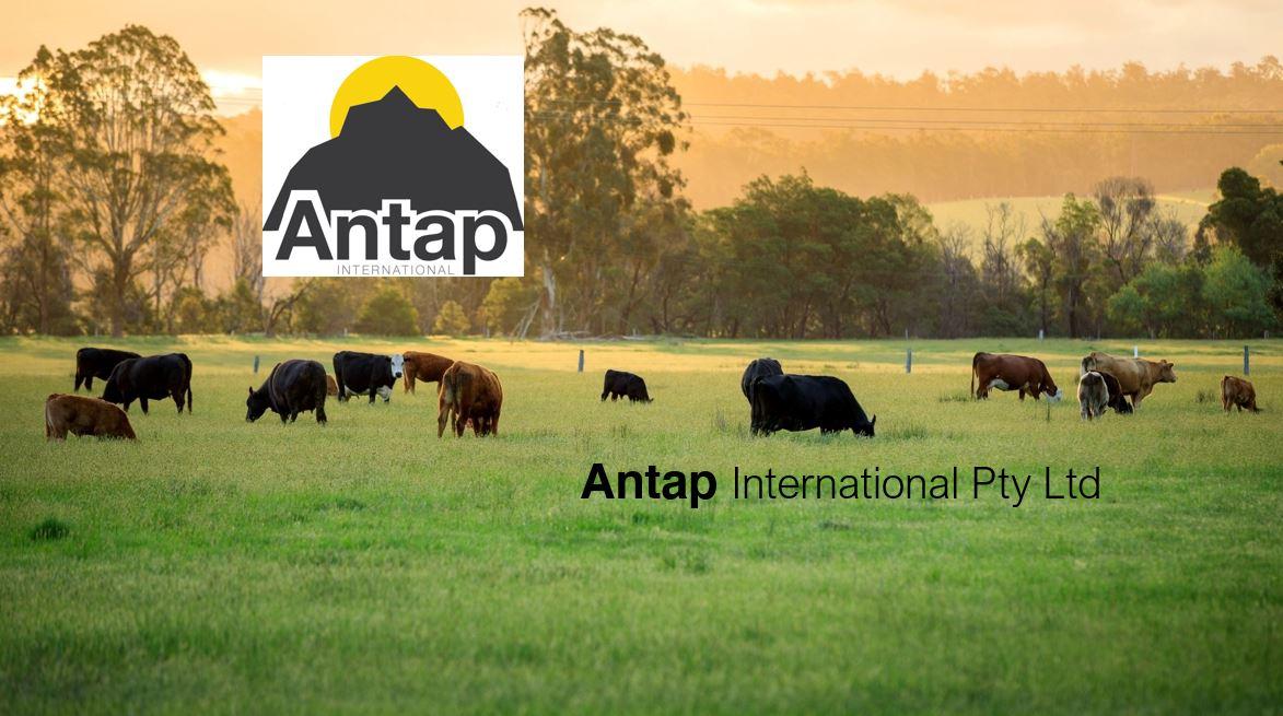 Antap International Pty Ltd