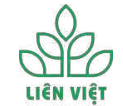 LIEN VIET JOINT STOCK COMPANY