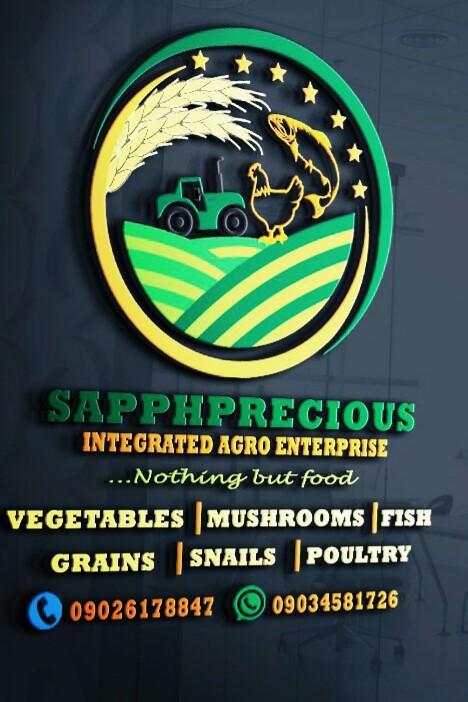 Sapphprecious Smoked catfish