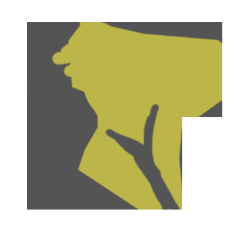 Anolive Gida San. A.S.